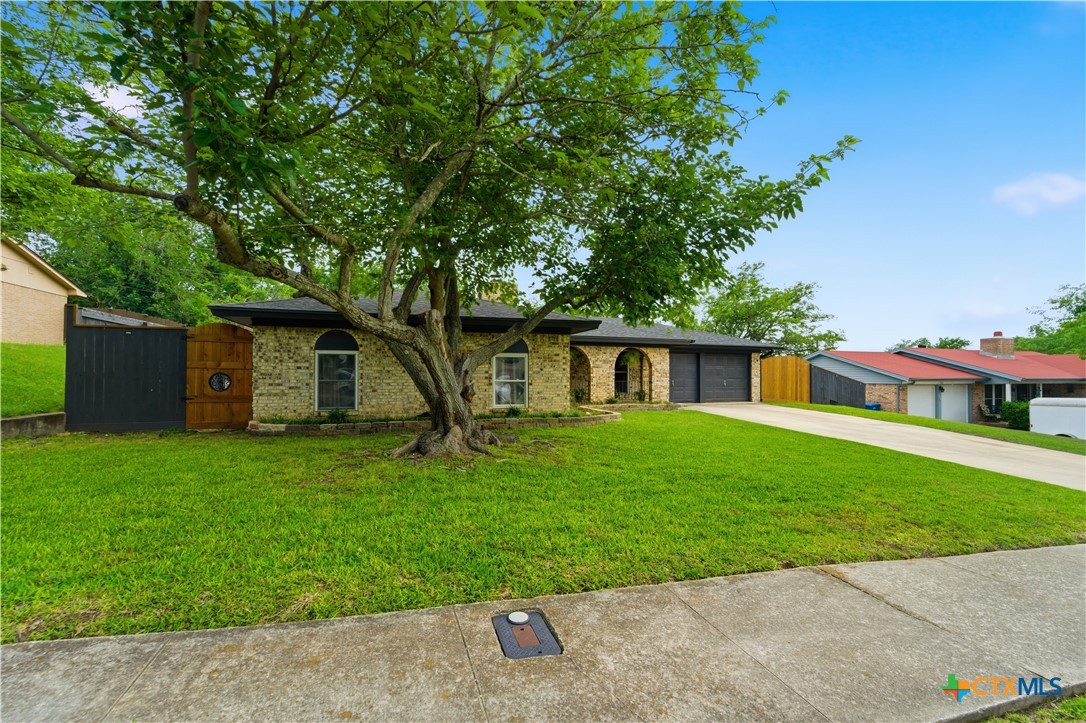 904 Tammy Drive