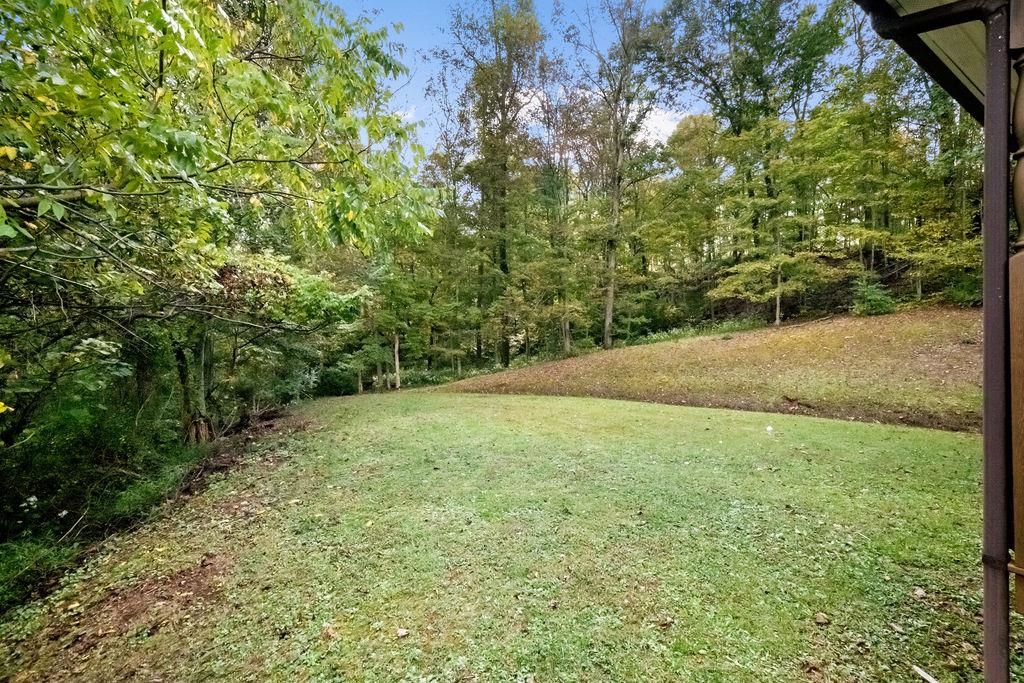 355 Fudges Creek Road