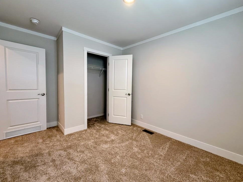 116 Carlee Drive