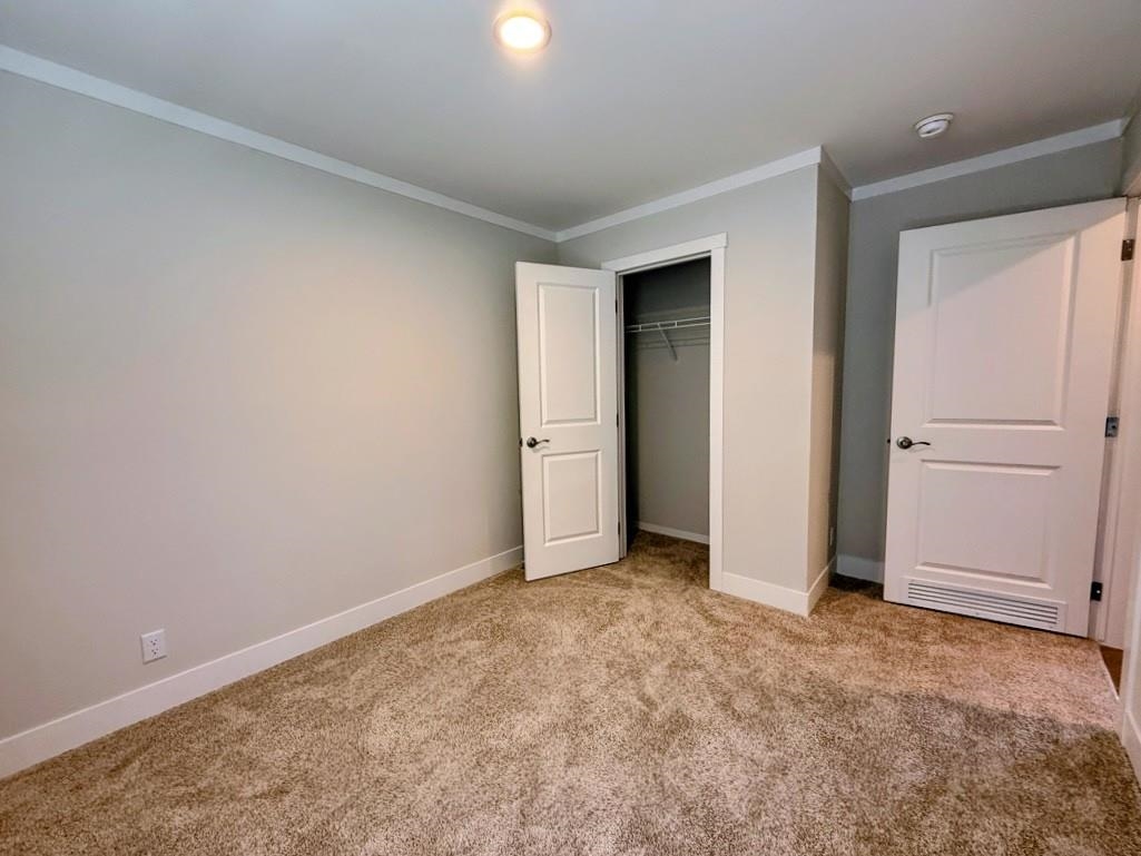 116 Carlee Drive