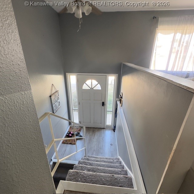 402 Circle Drive