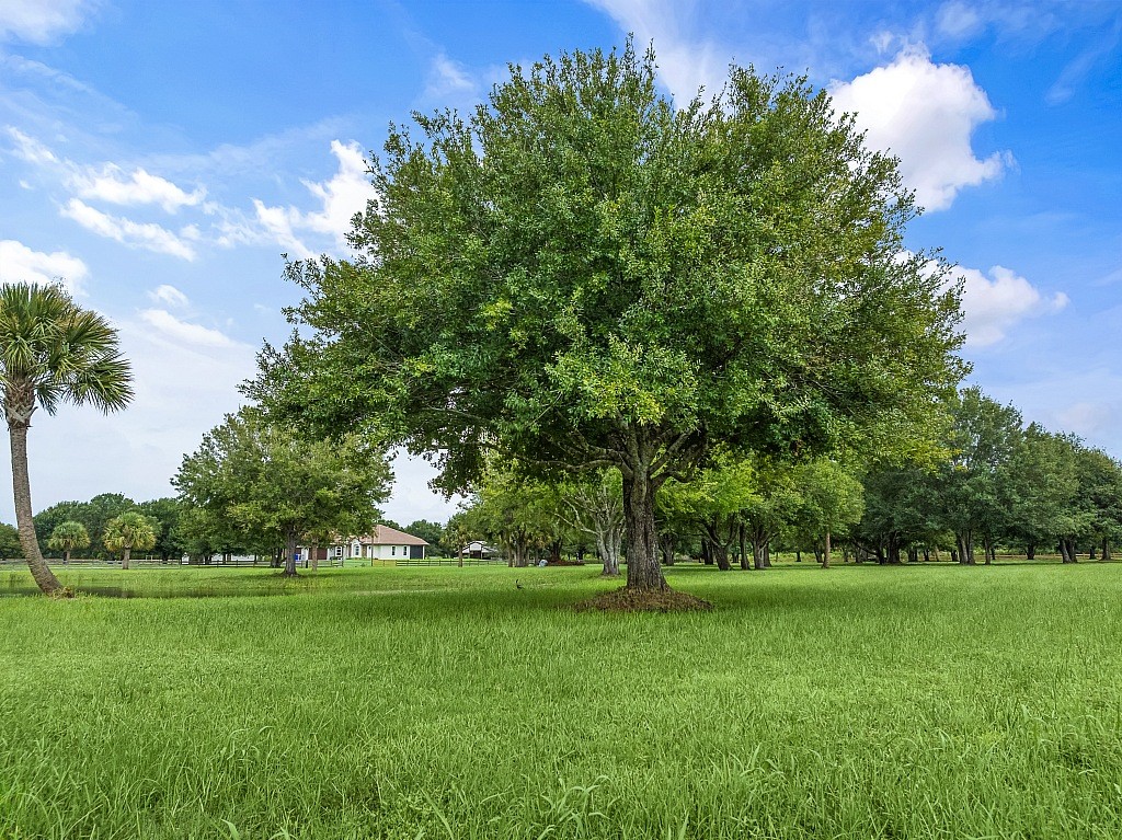 7150 Kamelya Street SW