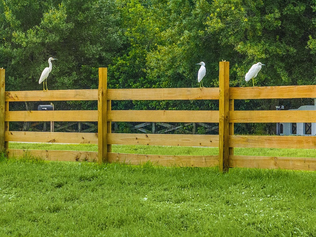 7150 Kamelya Street SW