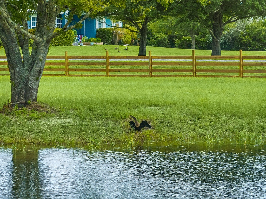 7150 Kamelya Street SW