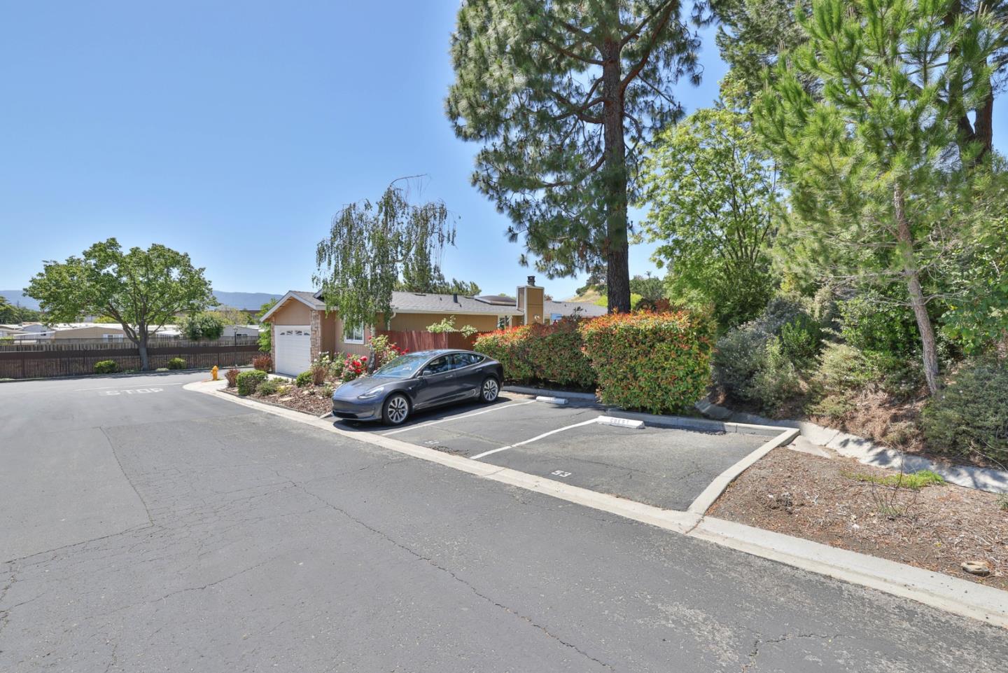 258 Mountain Springs DR 258