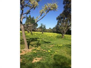 0 Villa Glen DR