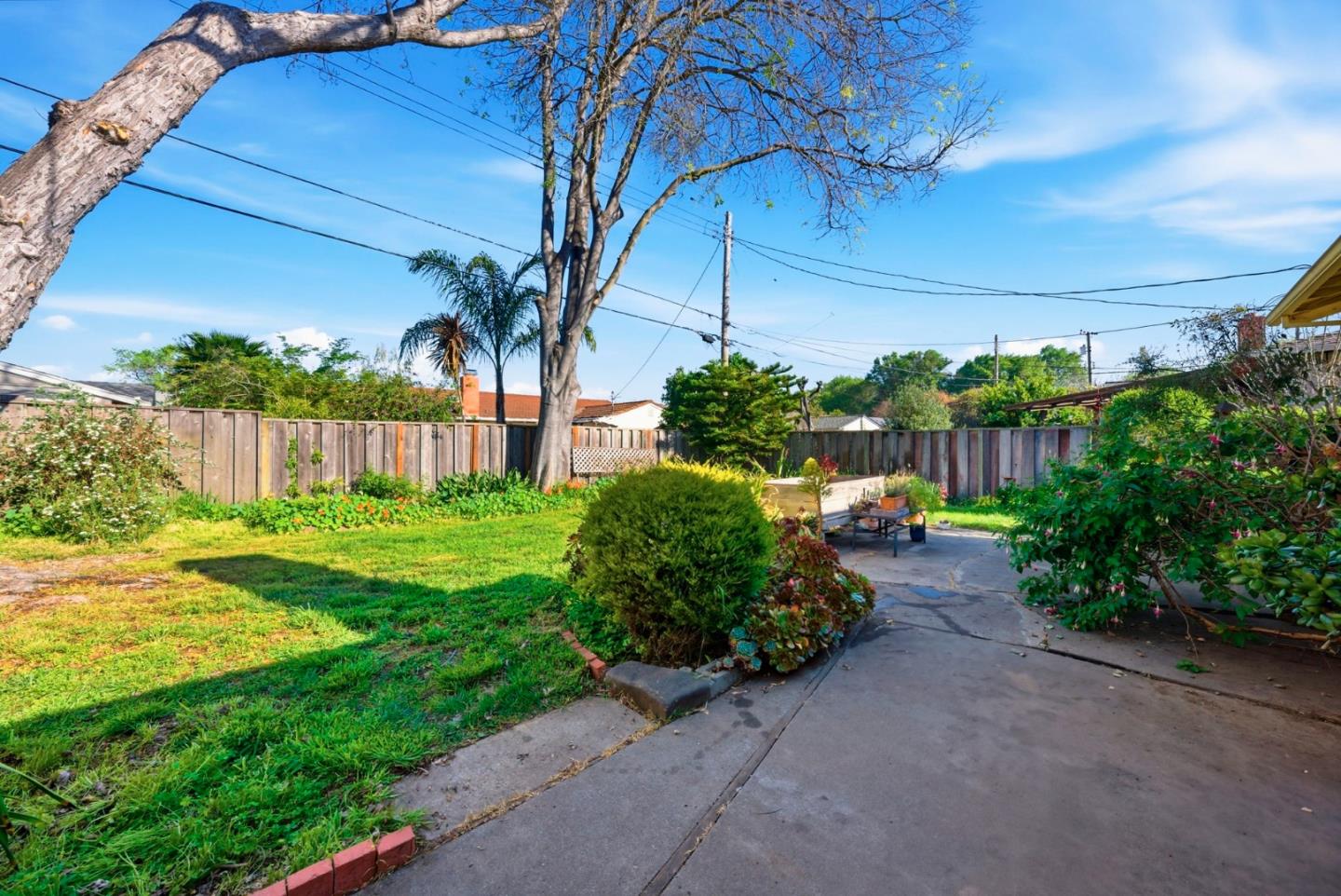 1000 Wood Duck Avenue