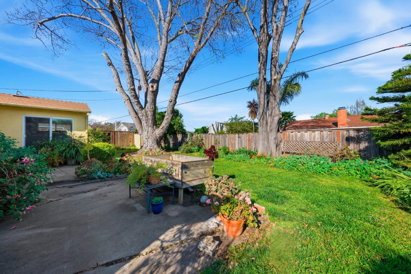 1000 Wood Duck Avenue