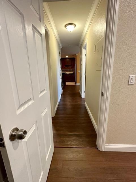 3939 Madison Avenue 233