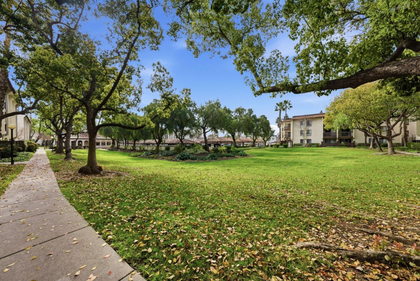 39931 Cedar BLVD 305