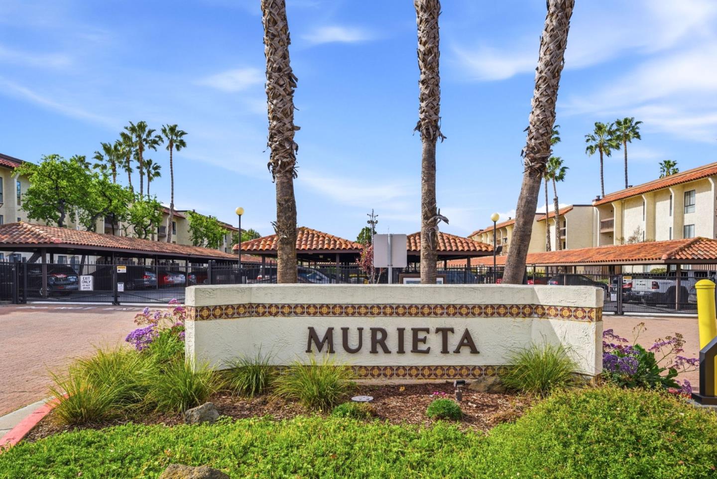 39931 Cedar BLVD 305