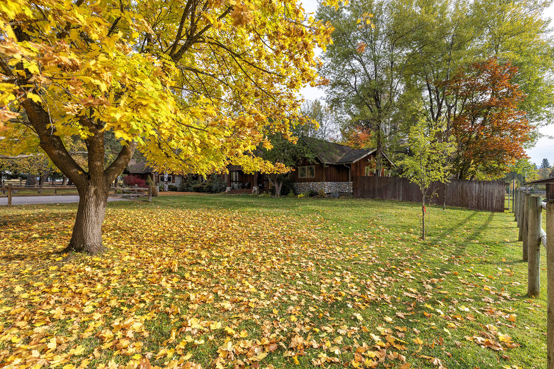 6155 Wildcat Road