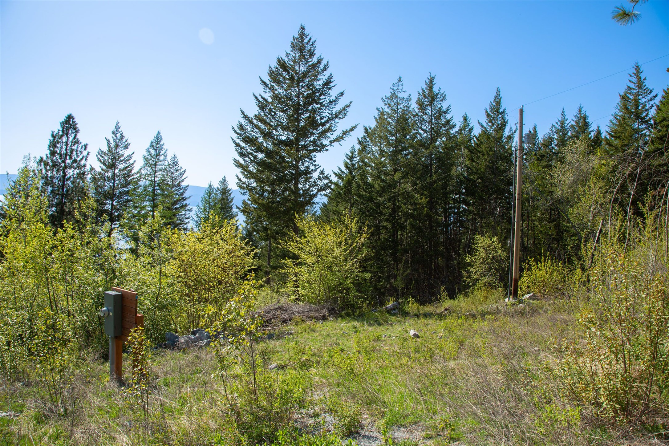 17909 Wolf Creek Lane