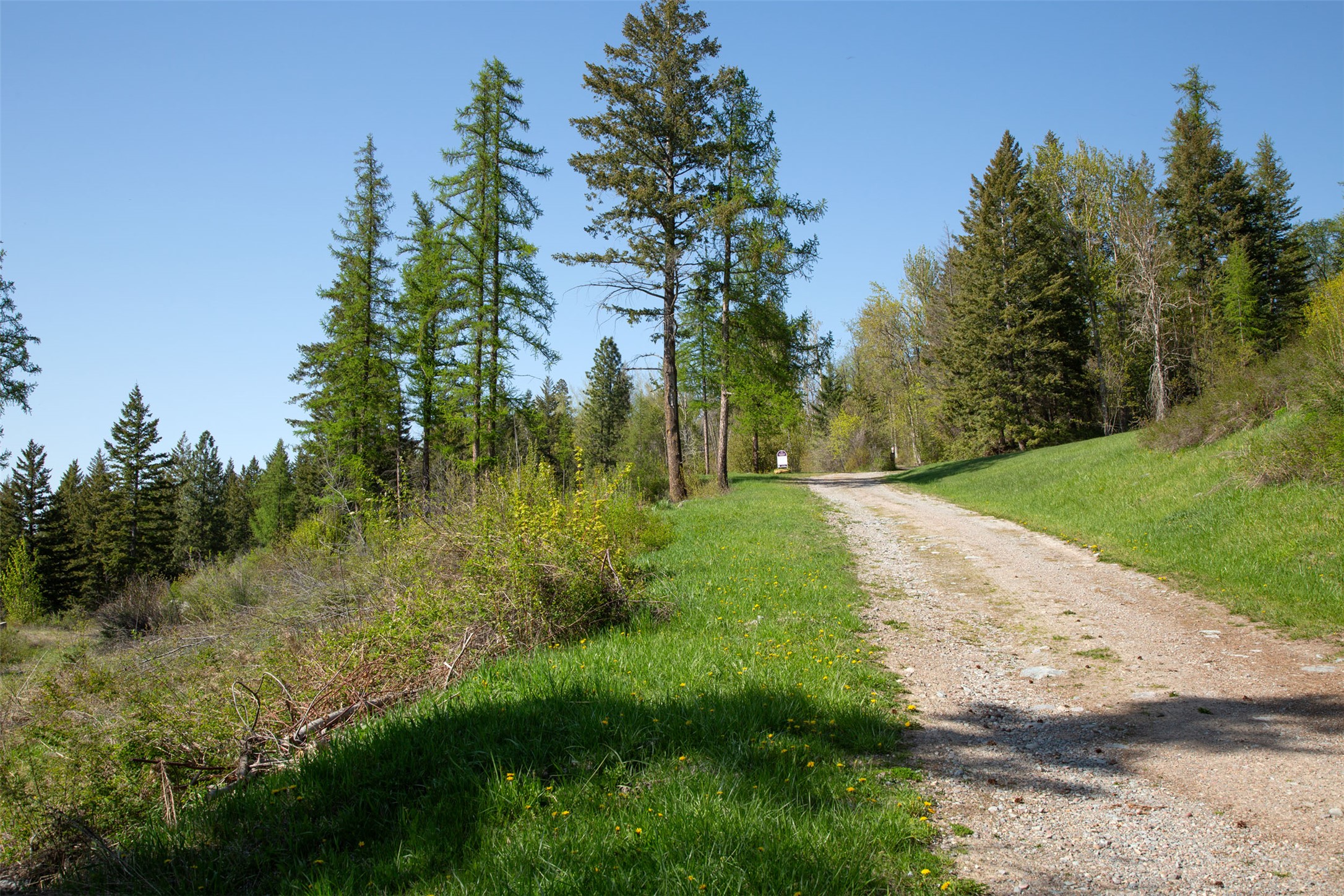 17909 Wolf Creek Lane