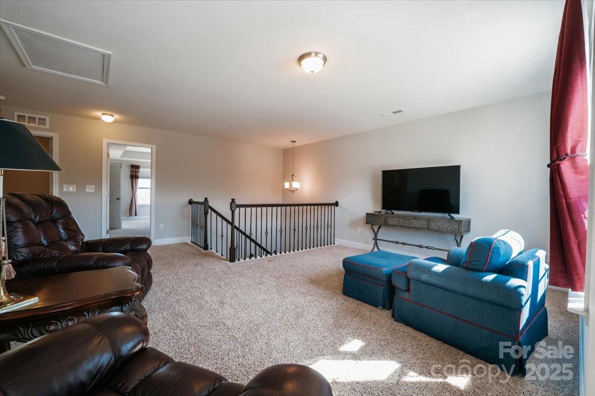 193 Sassafras Road