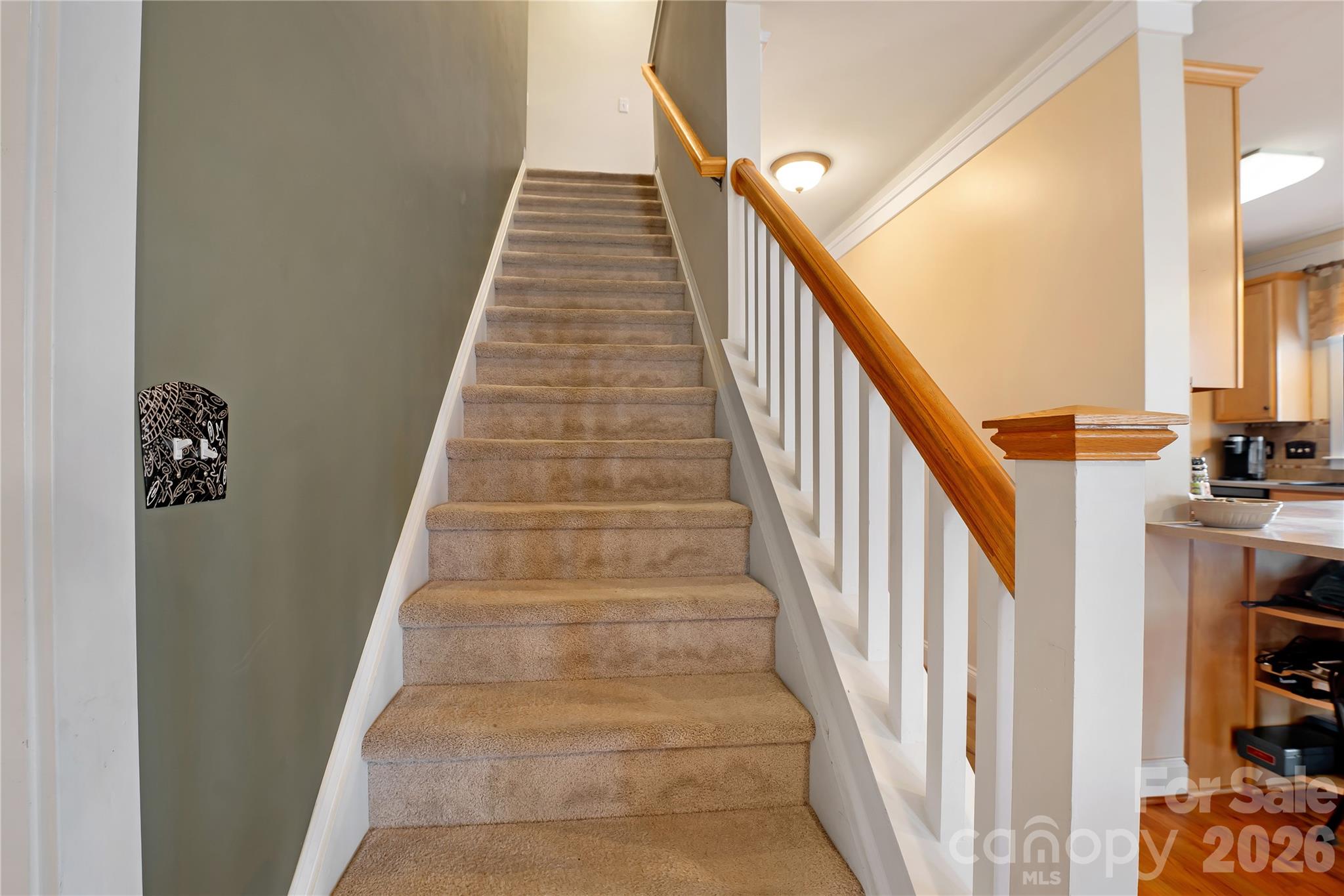 172 Water Oak Drive