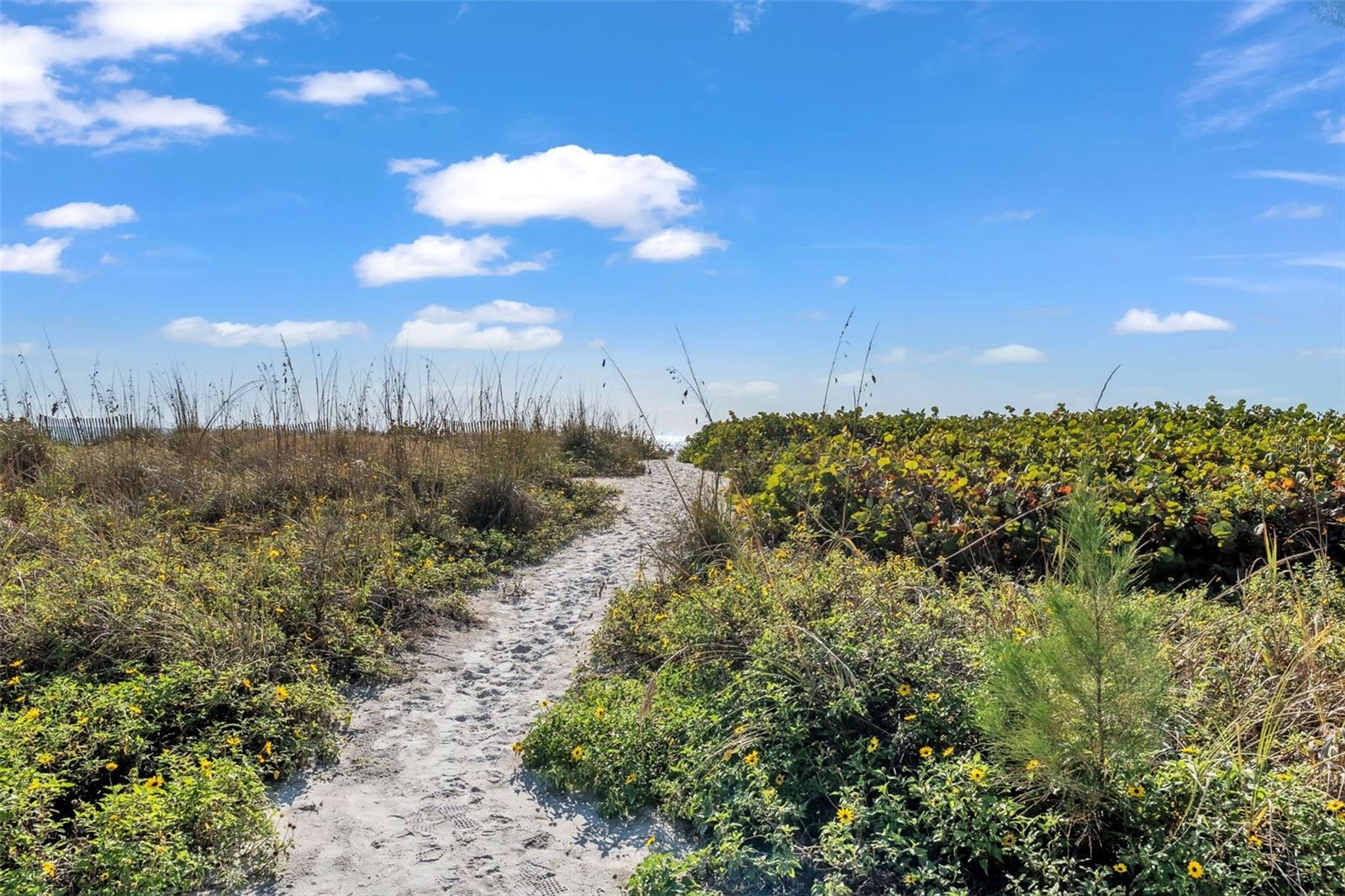 5635 GULF OF MEXICO DR #202