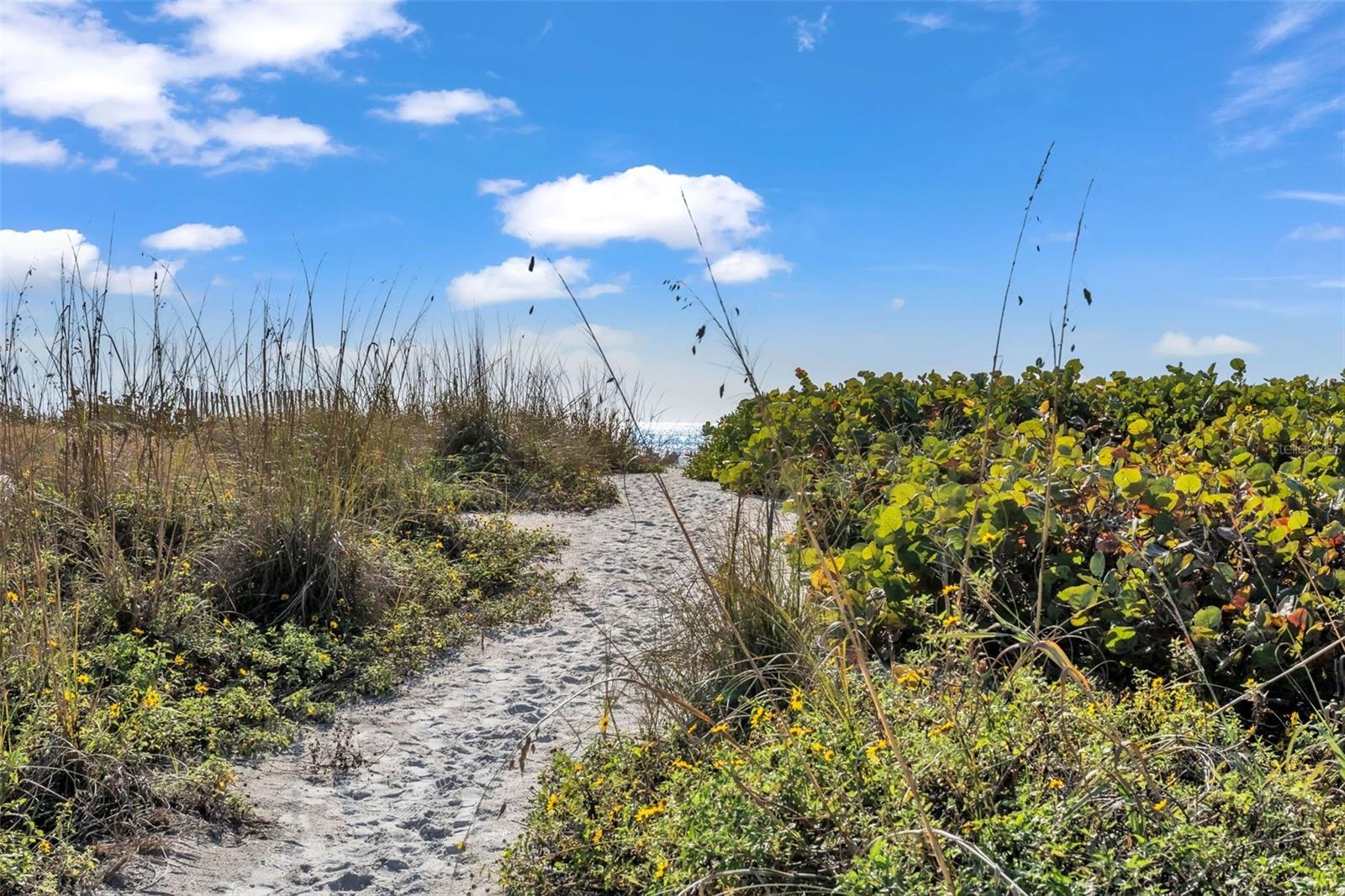 5635 GULF OF MEXICO DR #202