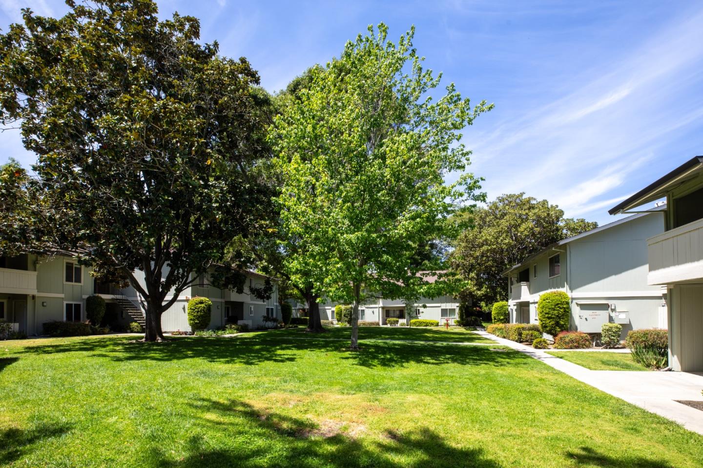 264 N Whisman RD 19
