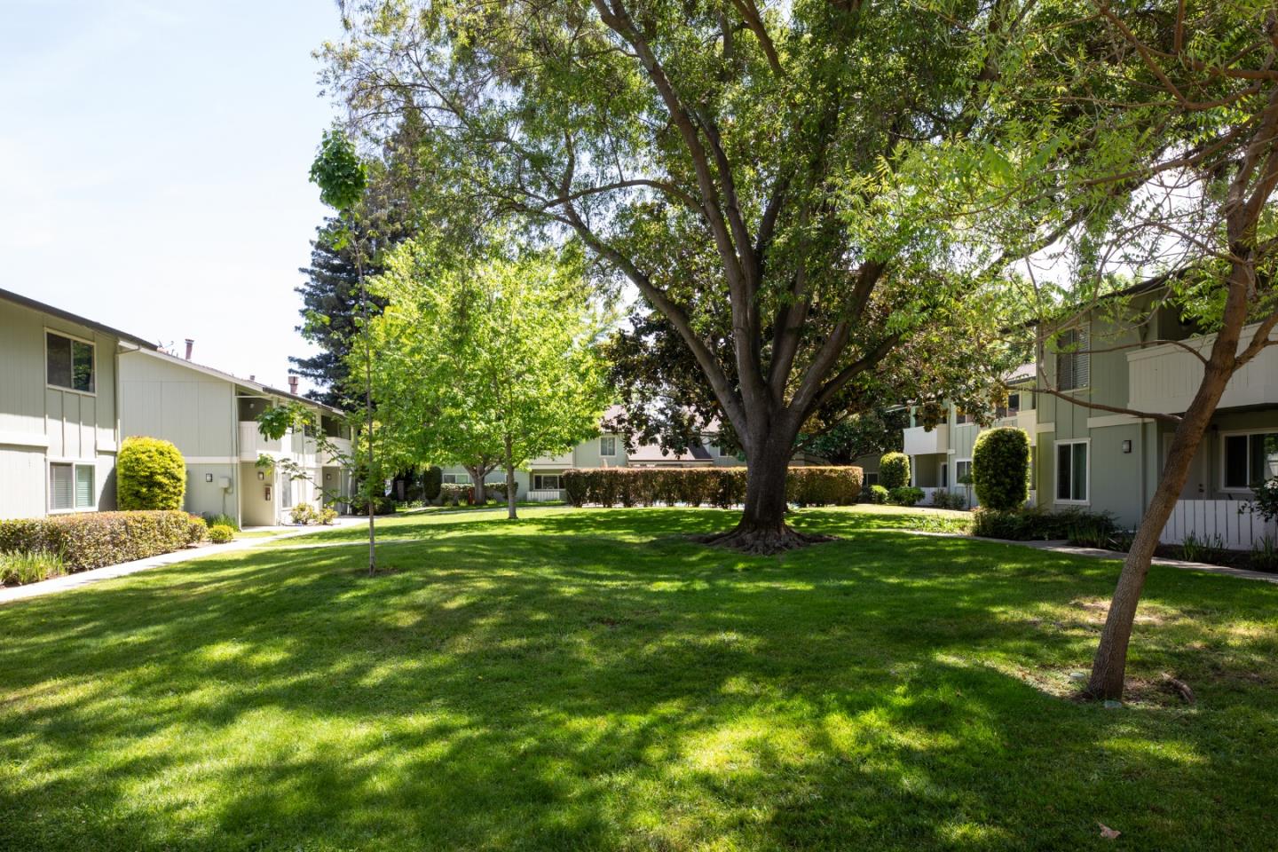 264 N Whisman RD 19