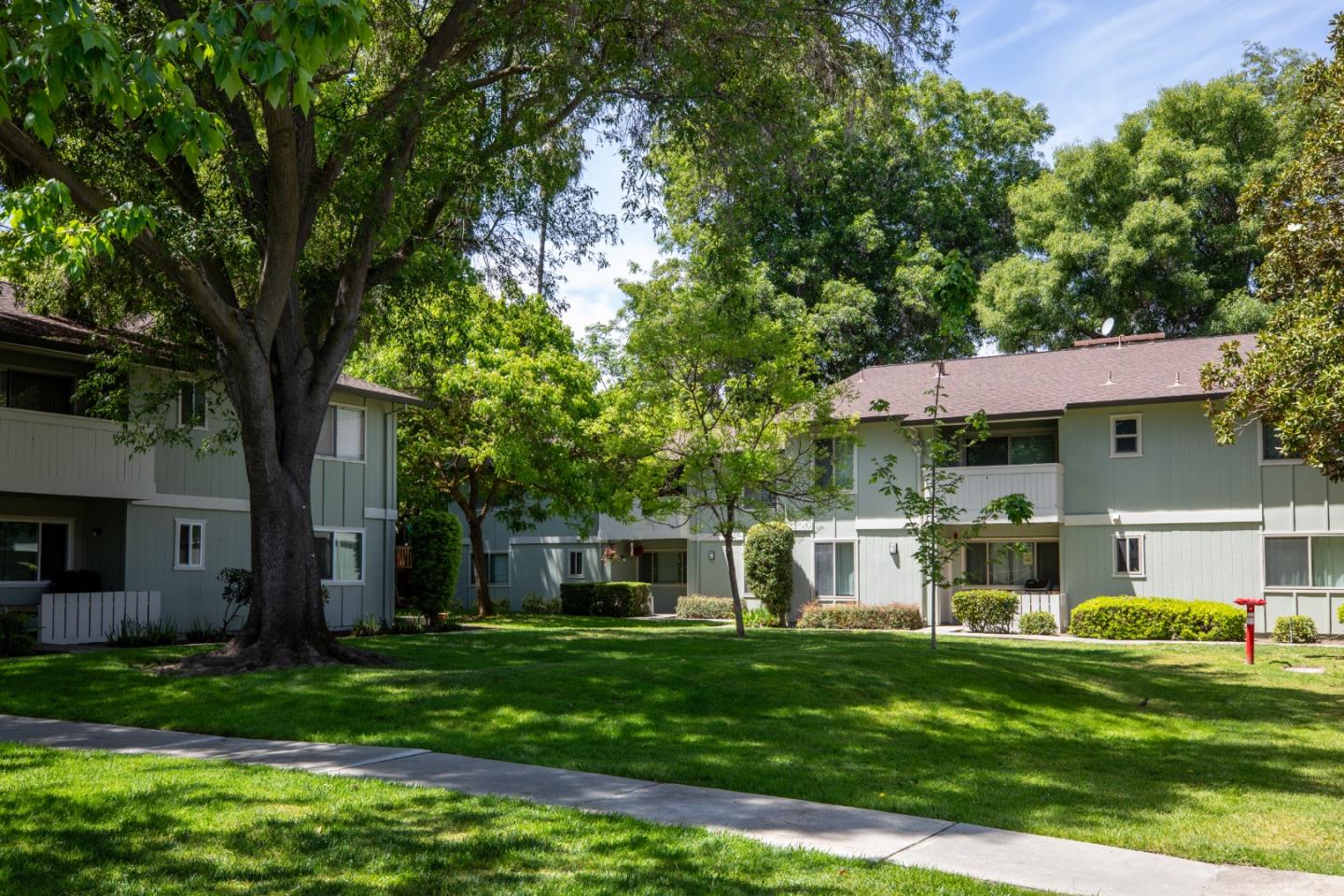 264 N Whisman RD 19
