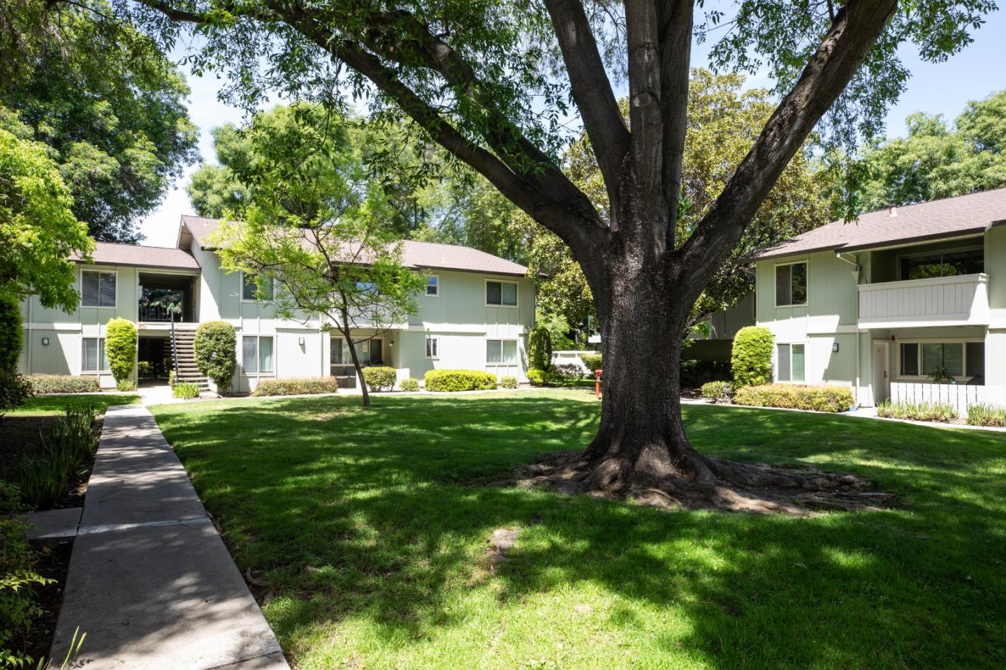 264 N Whisman RD 19