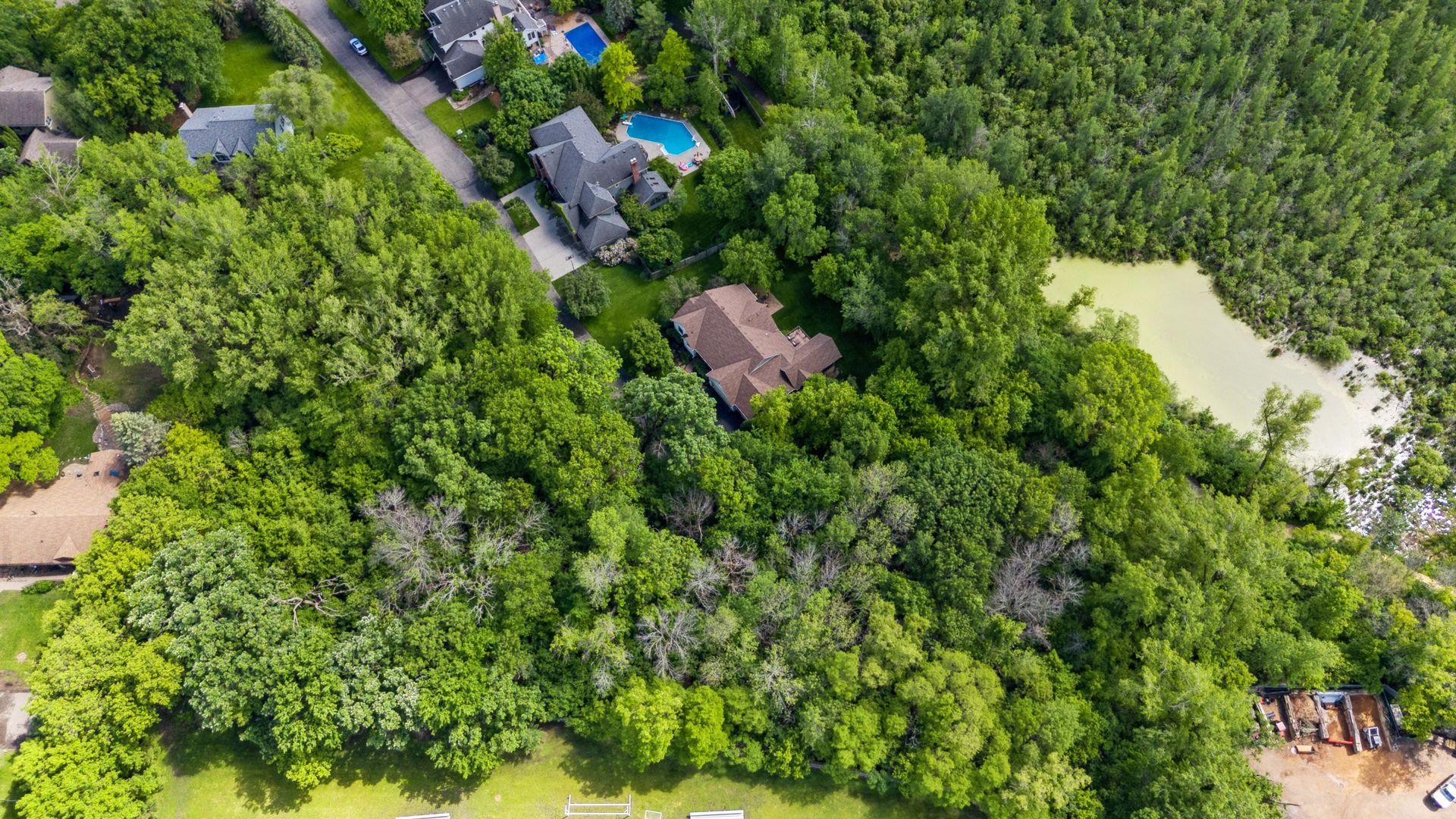 5458 Tamarack Circle
