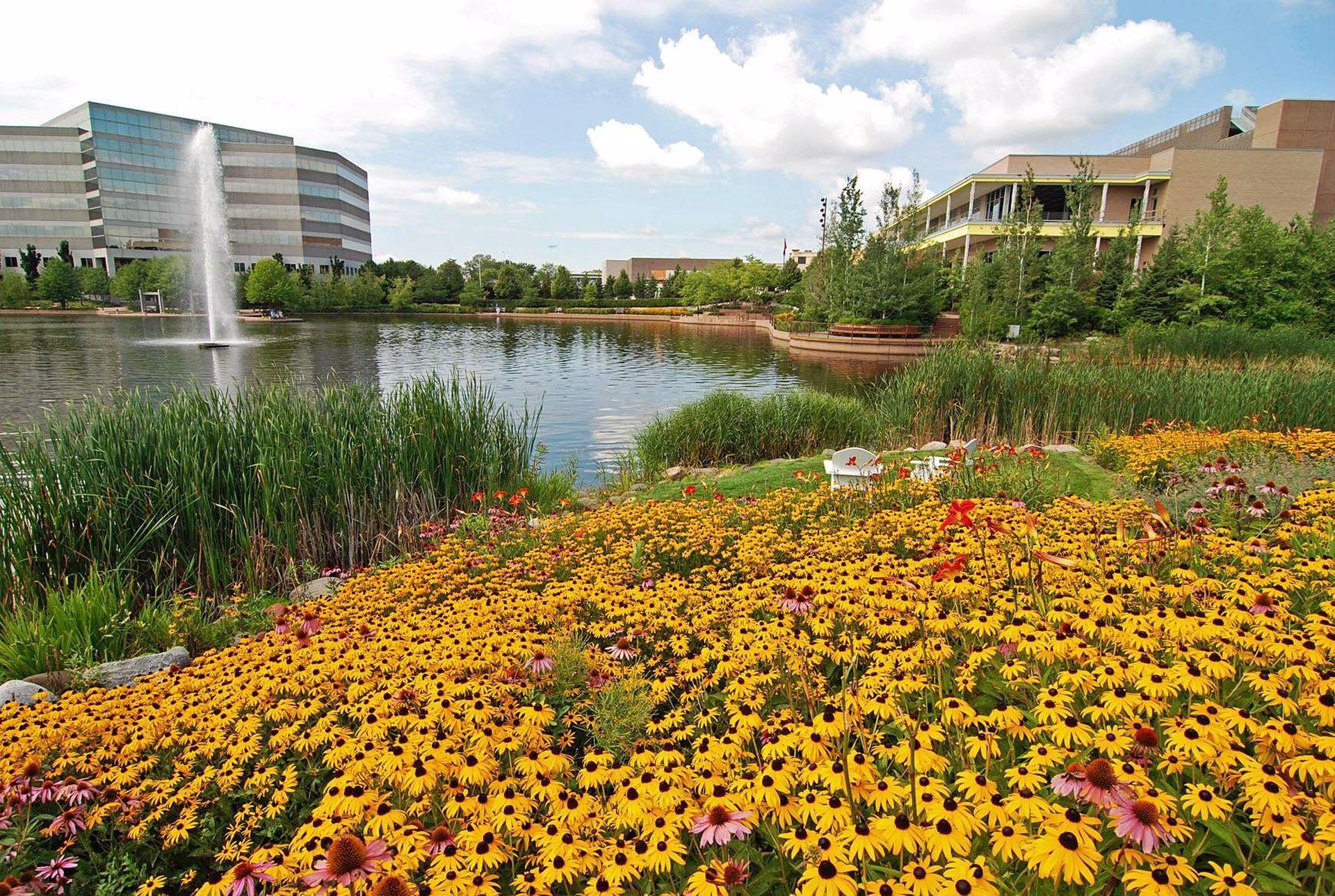 7400 Edinborough Way Unit: 5208