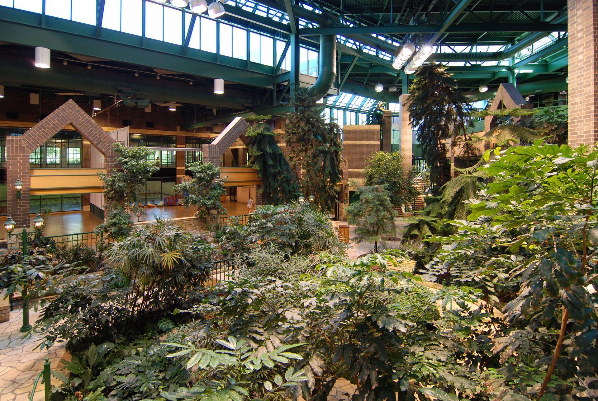 7400 Edinborough Way Unit: 5208