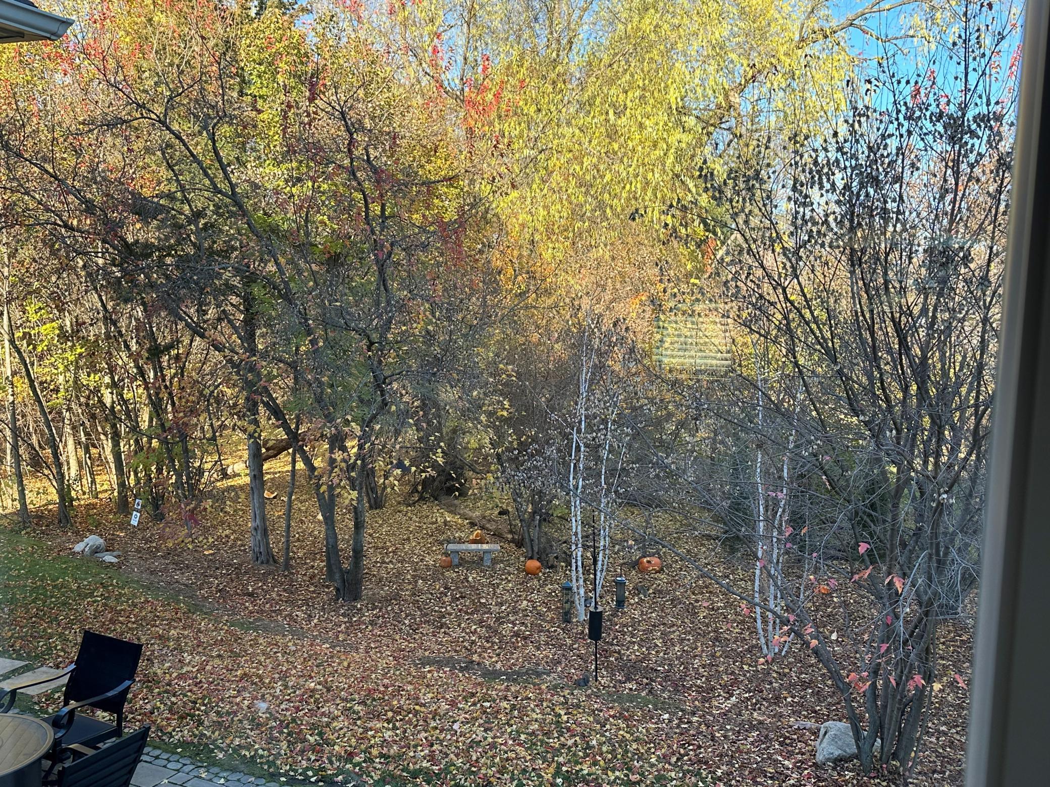 9264 Hawkcrest Court