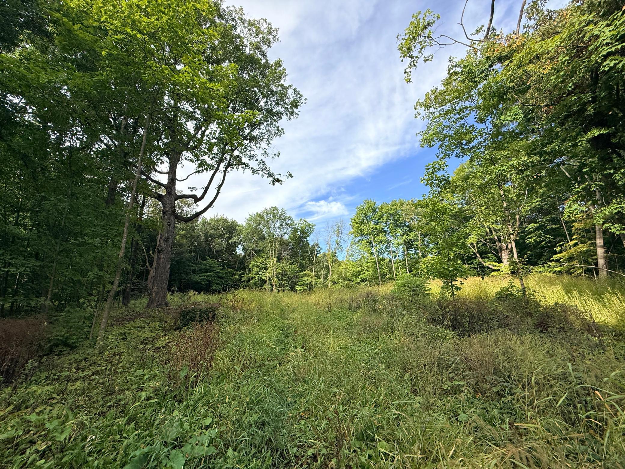 0 Harlee Court LOT 3