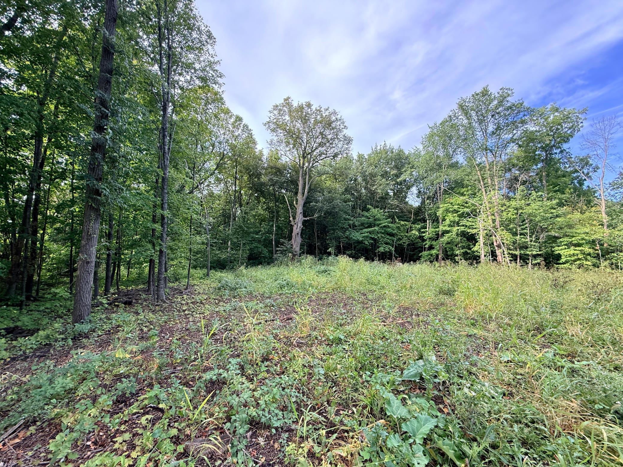 0 Harlee Court LOT 3