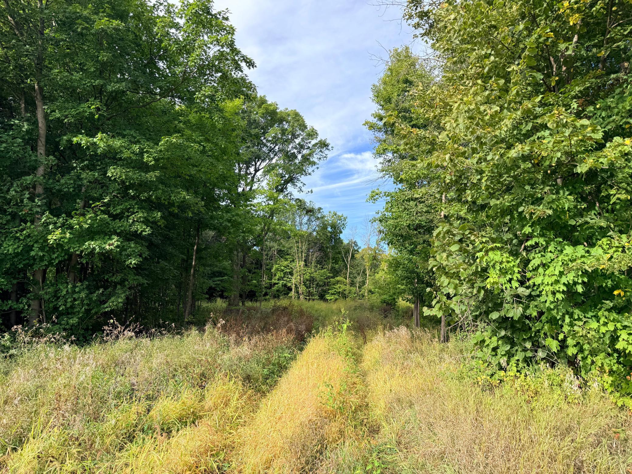 0 Harlee Court LOT 3
