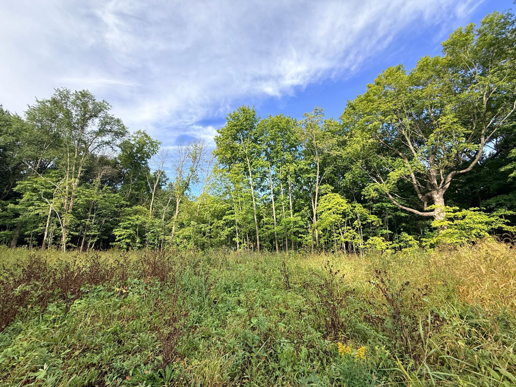 0 Harlee Court LOT 3