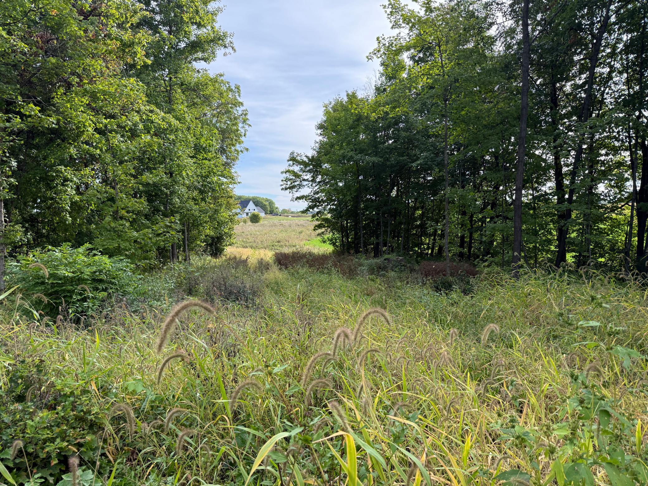 0 Harlee Court LOT 3