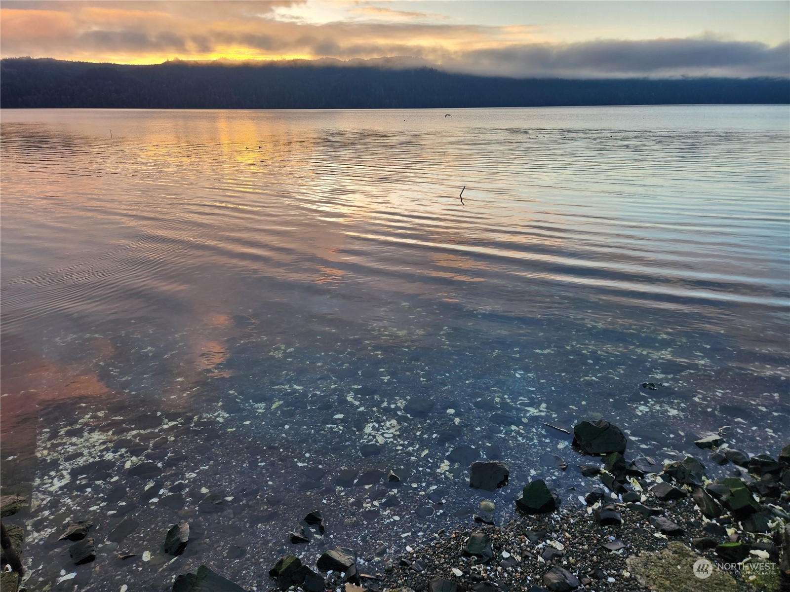 101 N Colony Surf Drive