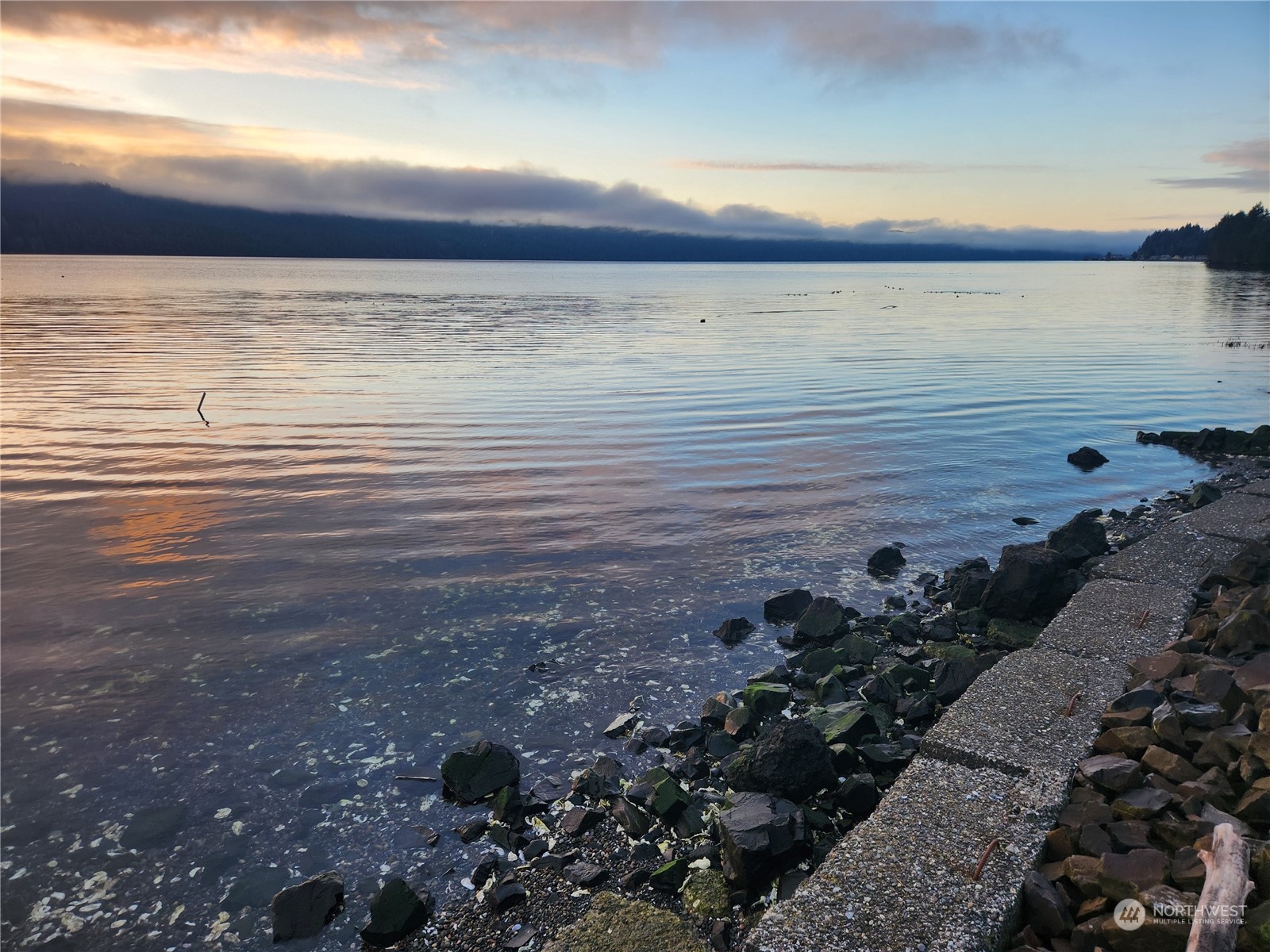 101 N Colony Surf Drive