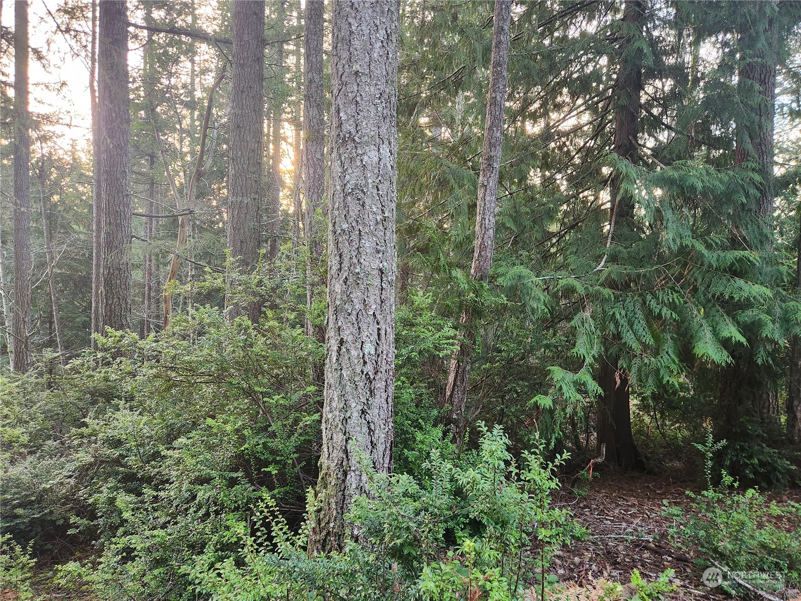 101 N Colony Surf Drive