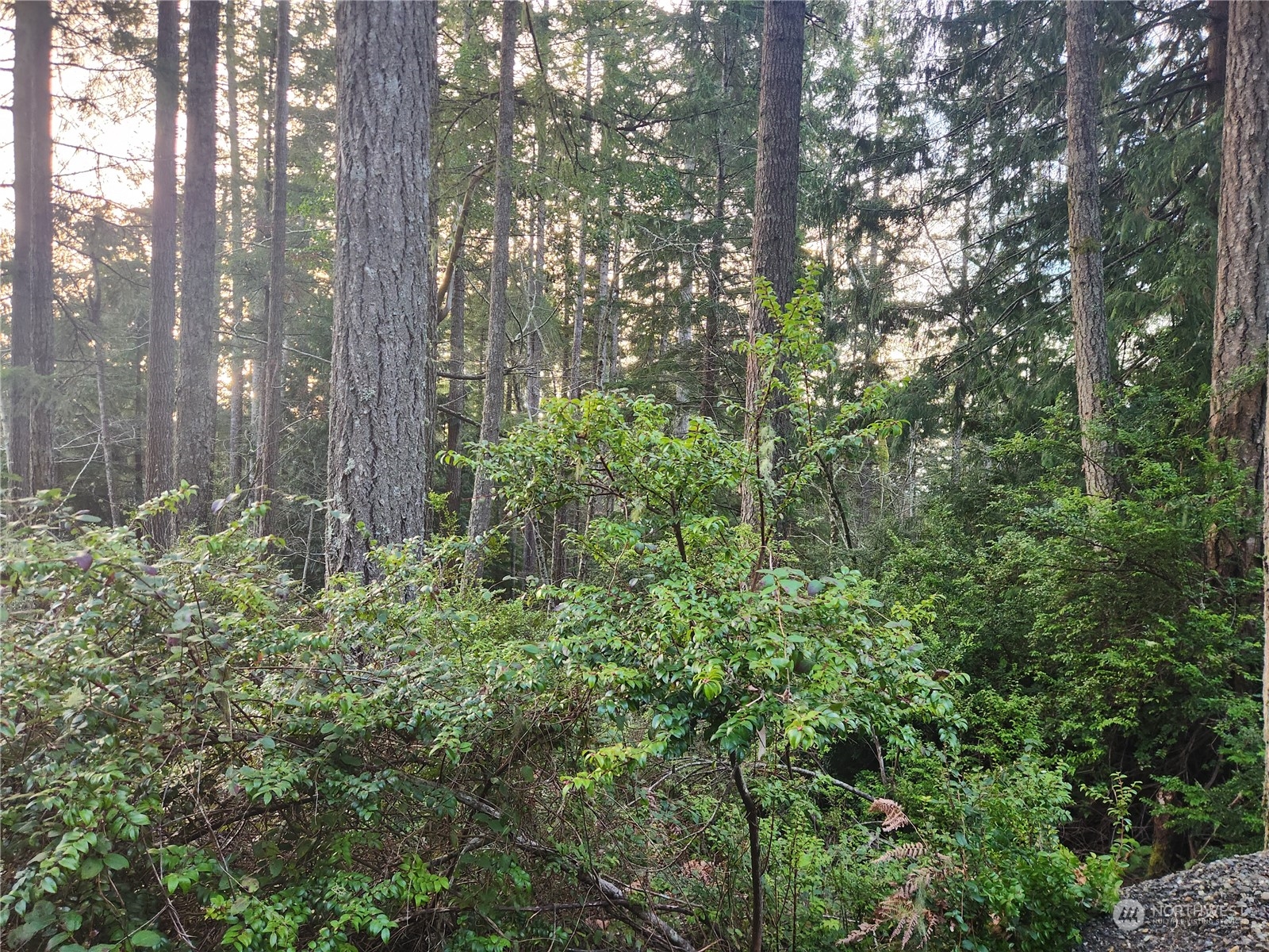 101 N Colony Surf Drive