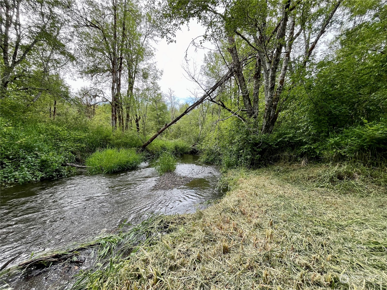 320 SE Picadilly Drive