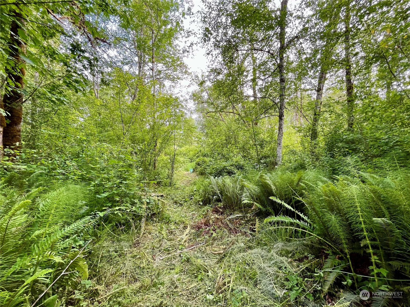 320 SE Picadilly Drive