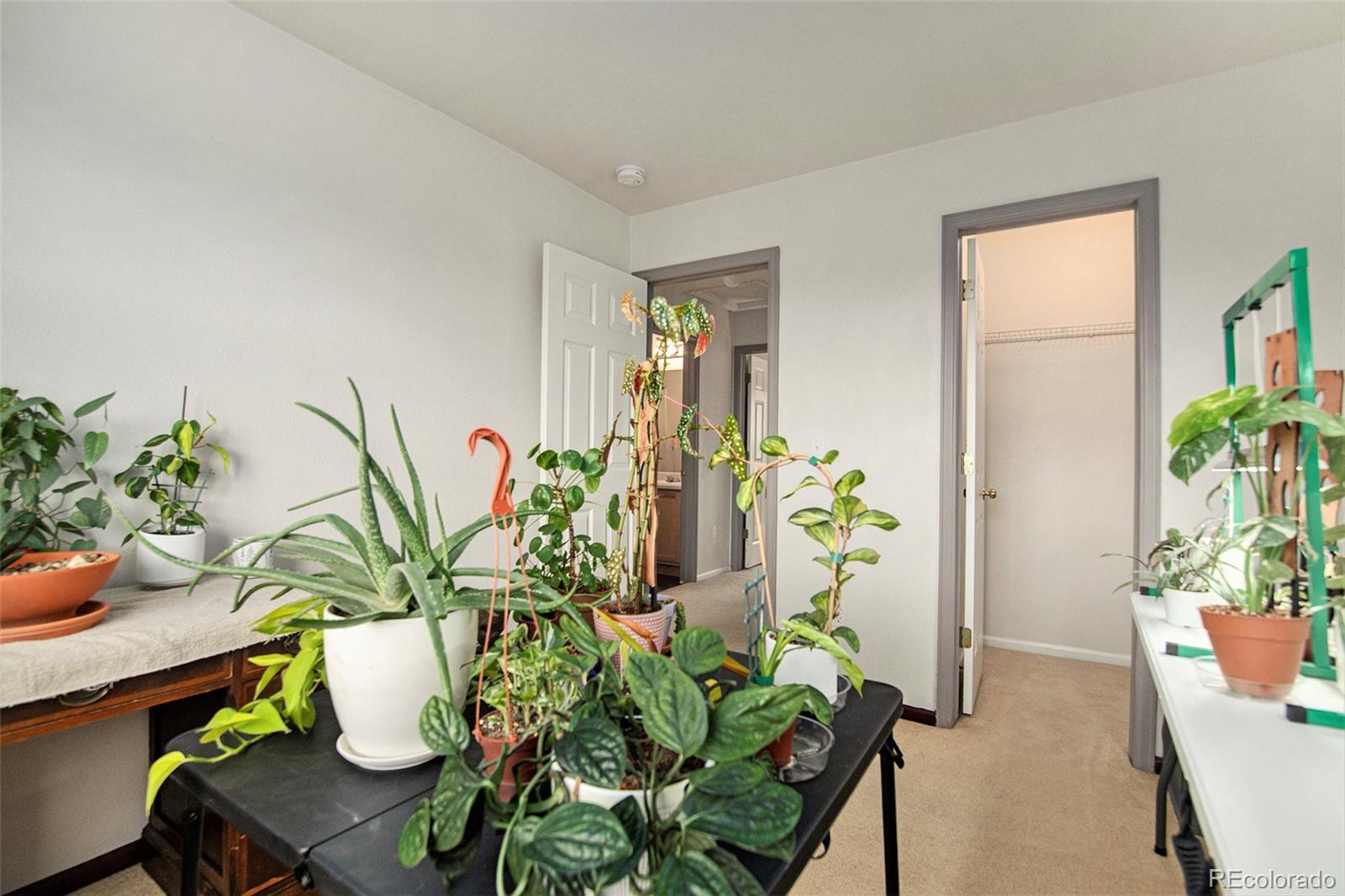 1103 S Flat Rock Circle