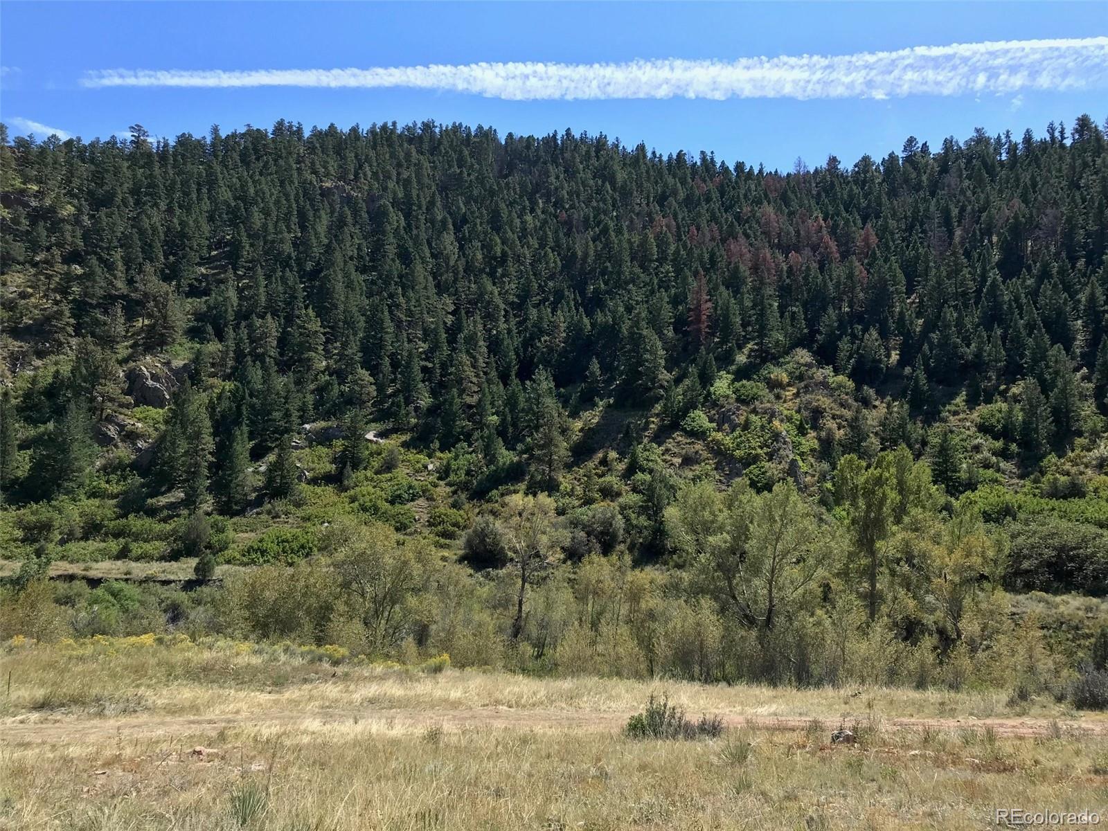 12828 County Road 143