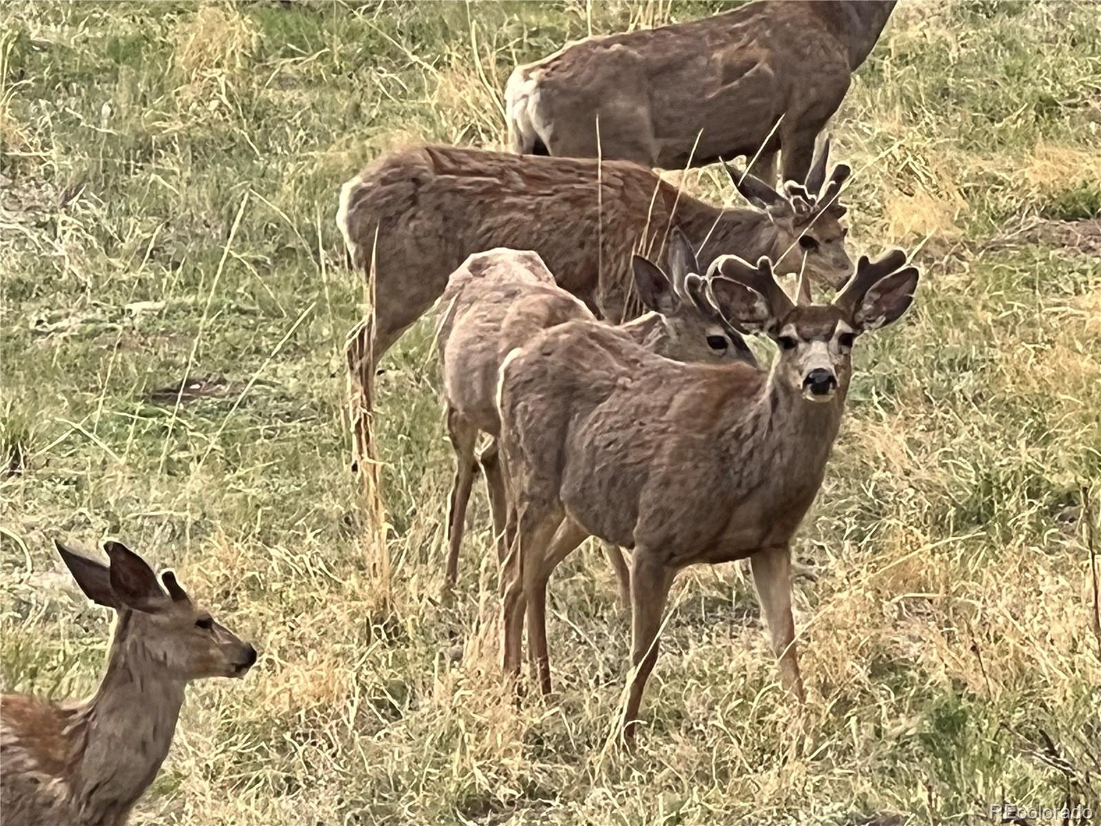 12828 County Road 143