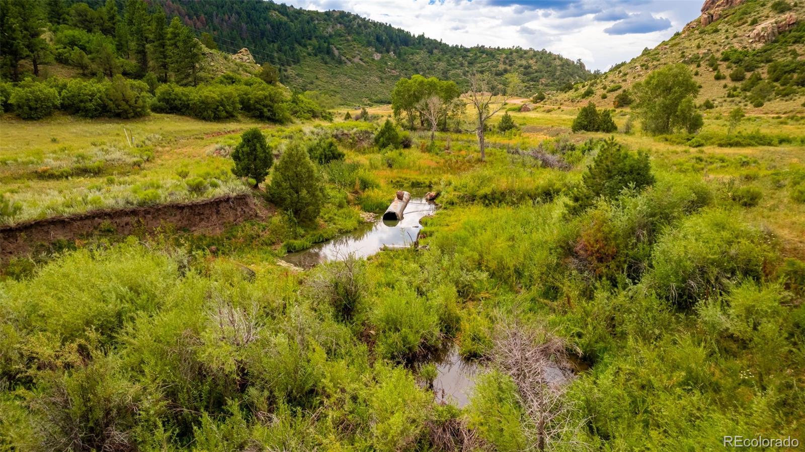 12828 County Road 143