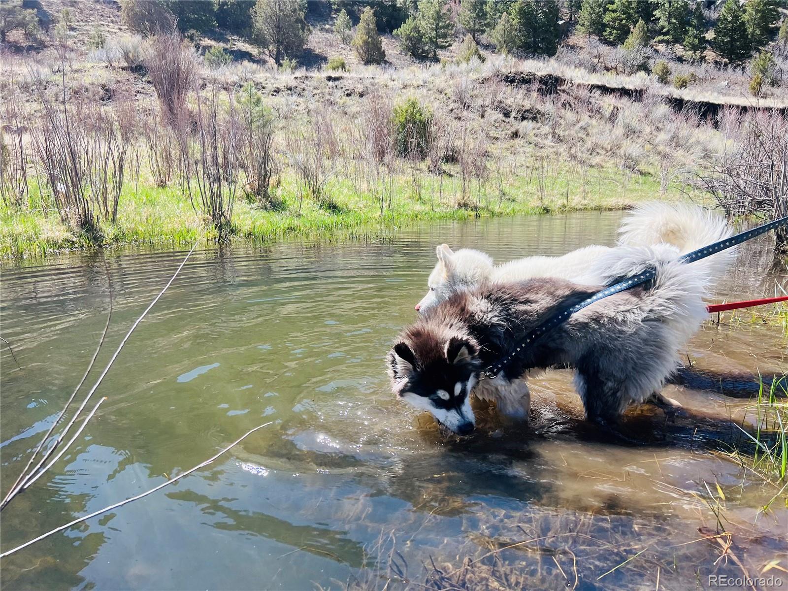 12828 County Road 143