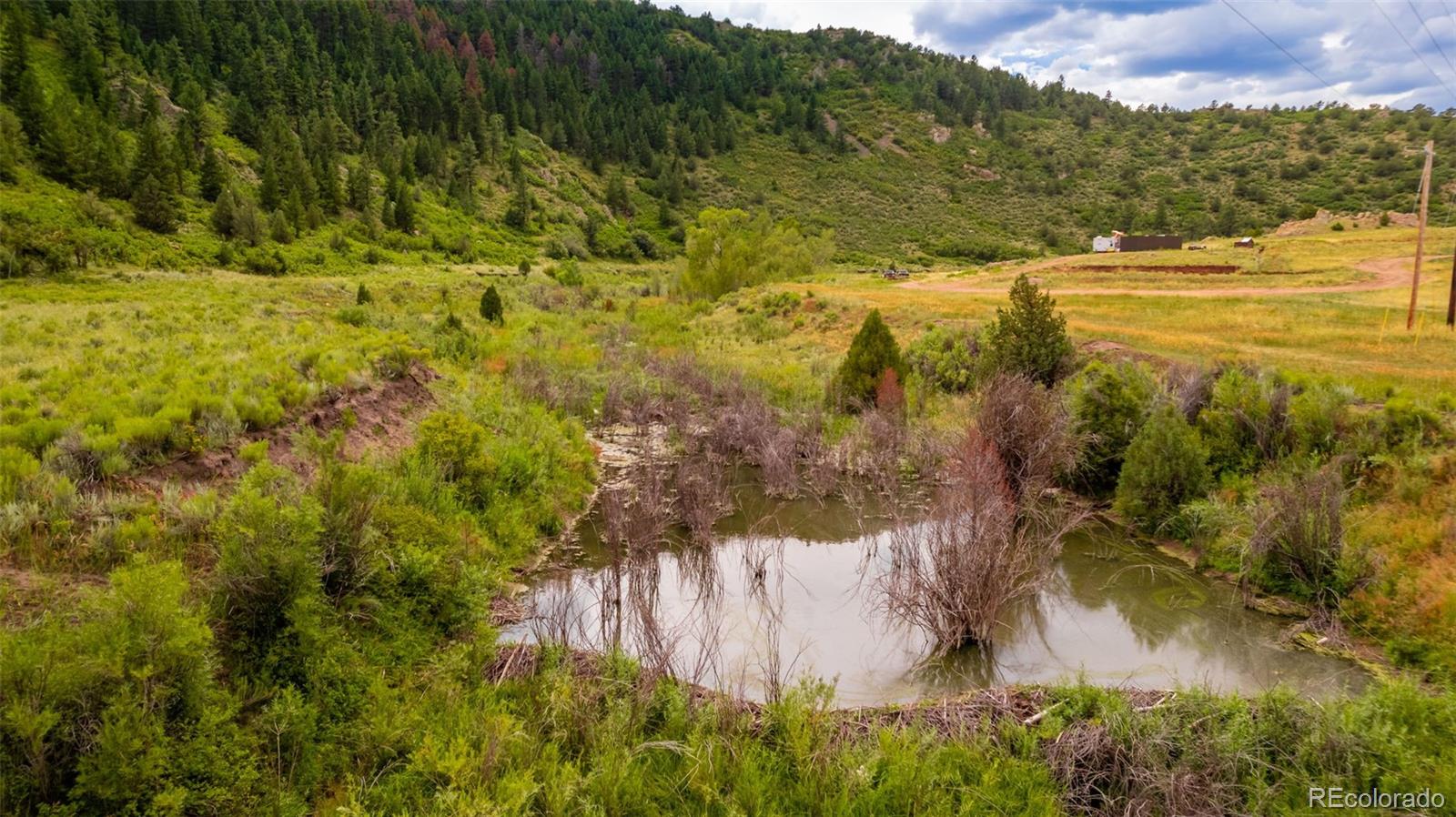 12828 County Road 143