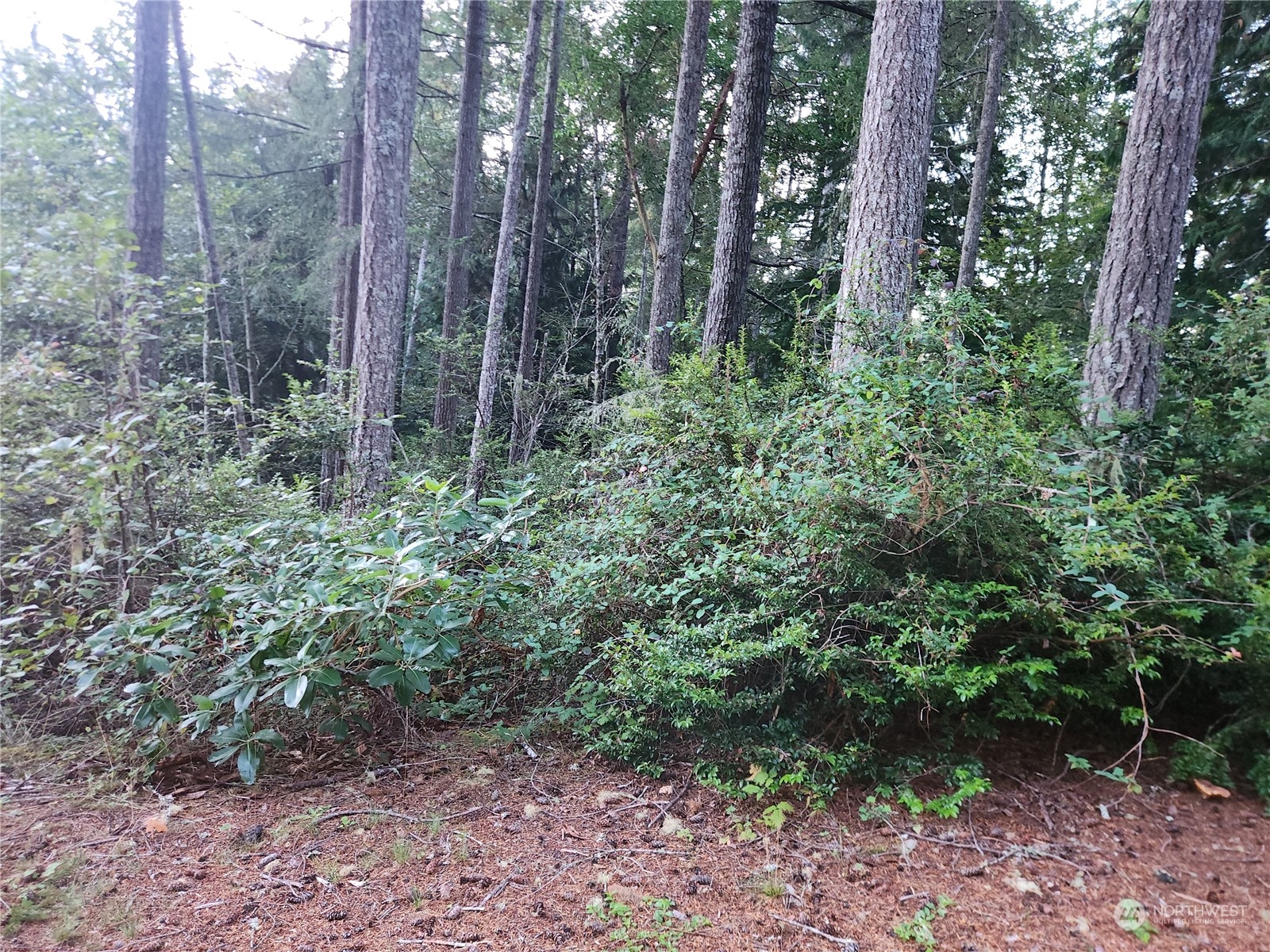 91 N Colony Surf Drive