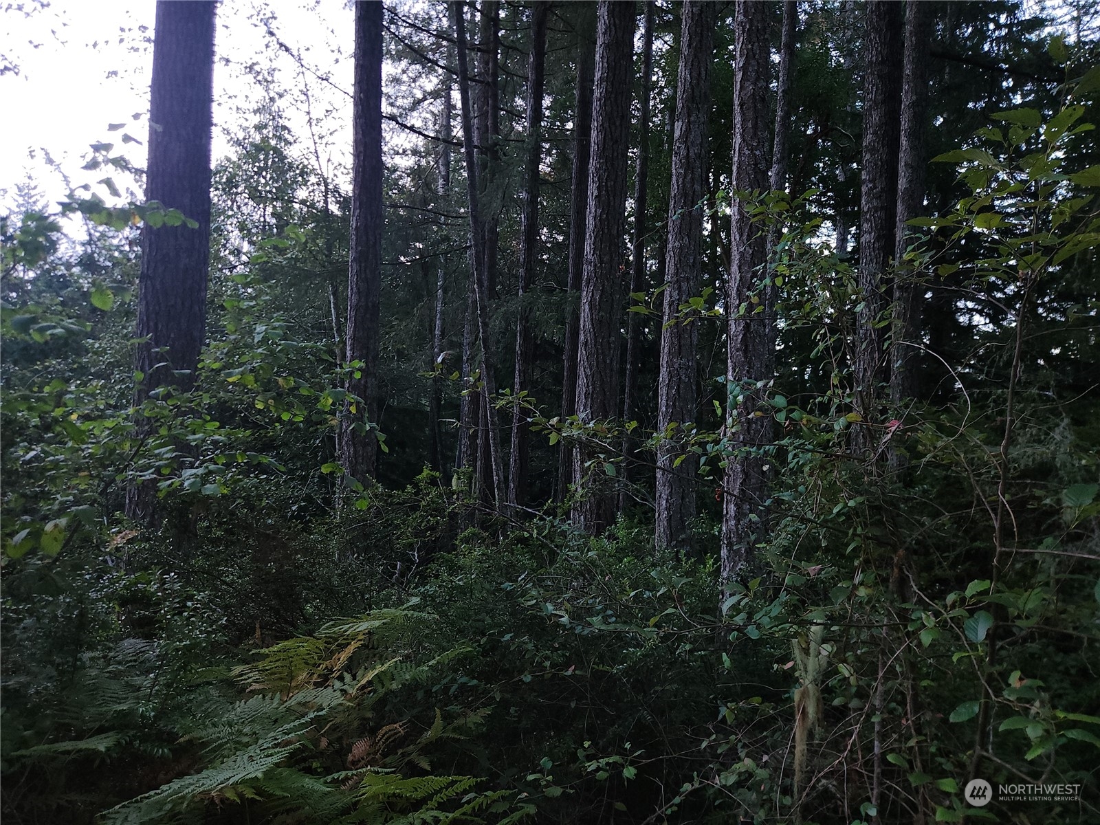 91 N Colony Surf Drive