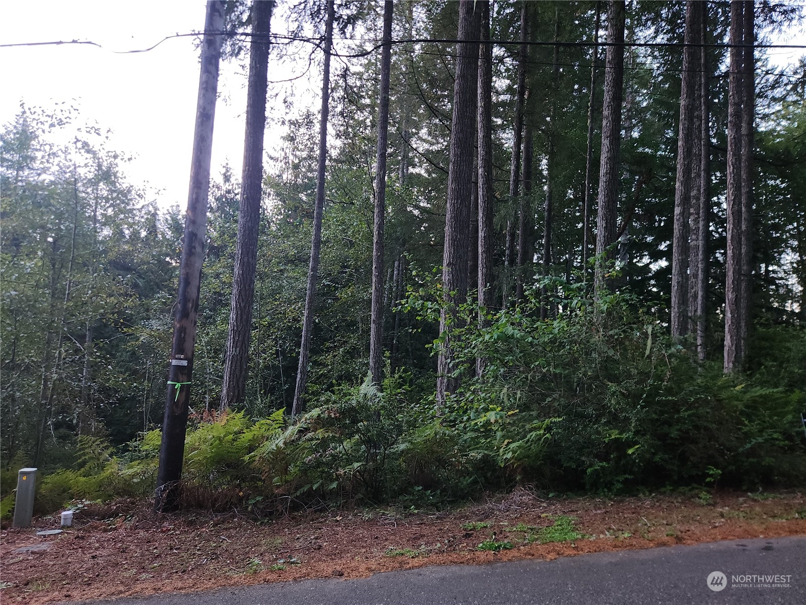 91 N Colony Surf Drive